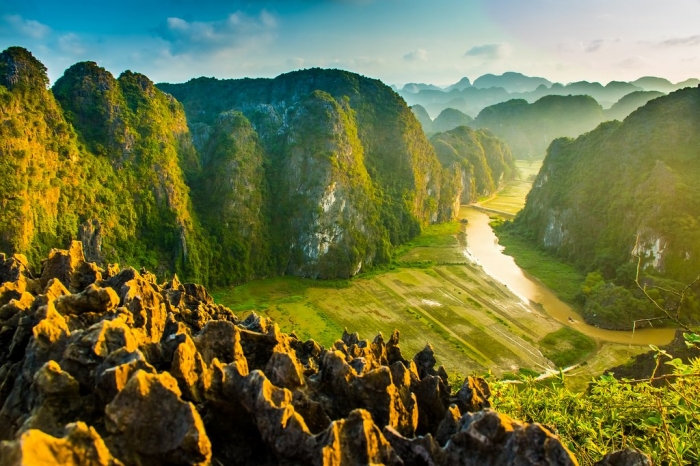 Kich chuot de phong to anh